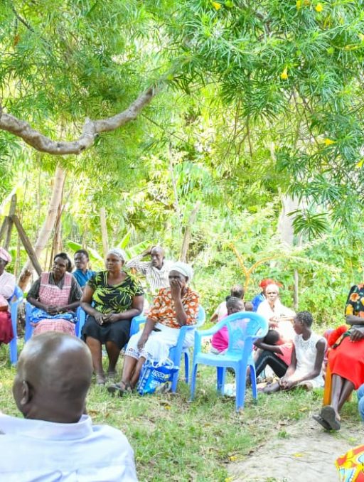 Consultative Meeting