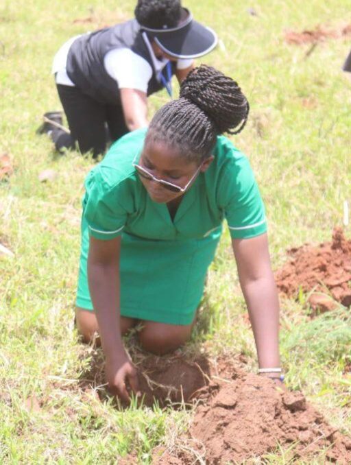 Youths engaged in planting trees in a degraded land